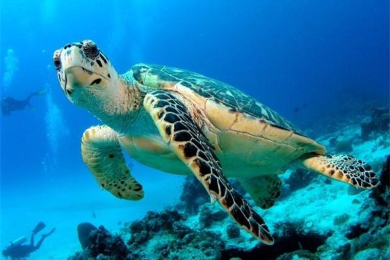 Tour Tâm Linh - Khám Phá Côn Đảo